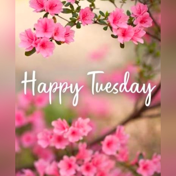 °◇SHOW LISTING◇° - Picture 3 of 16